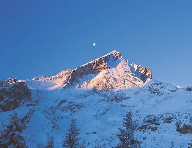 Zugspitze 그라이나우